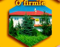O firmie